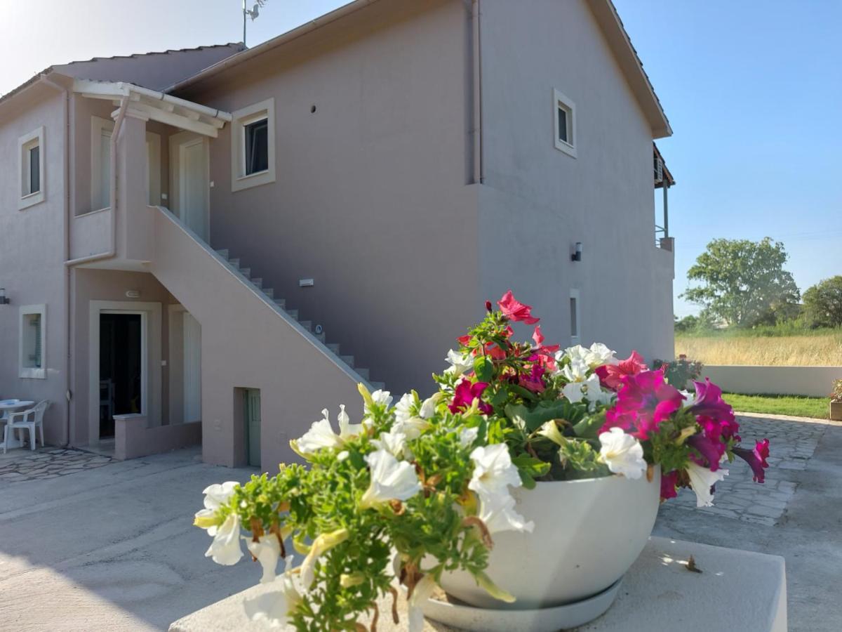 Evelina Luxury Suites In Corfu Ypsos Eksteriør bilde